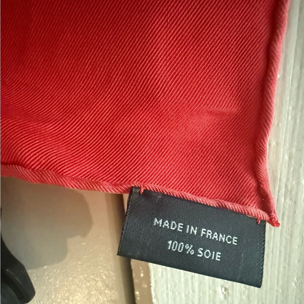 Authentic Hermes Carre Wash Equateur Silk Scarf 35” - Picture 8 of 9
